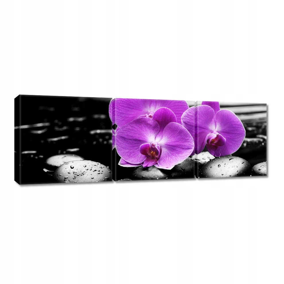 

Obrazy 120x40 Fioletowe oleandry