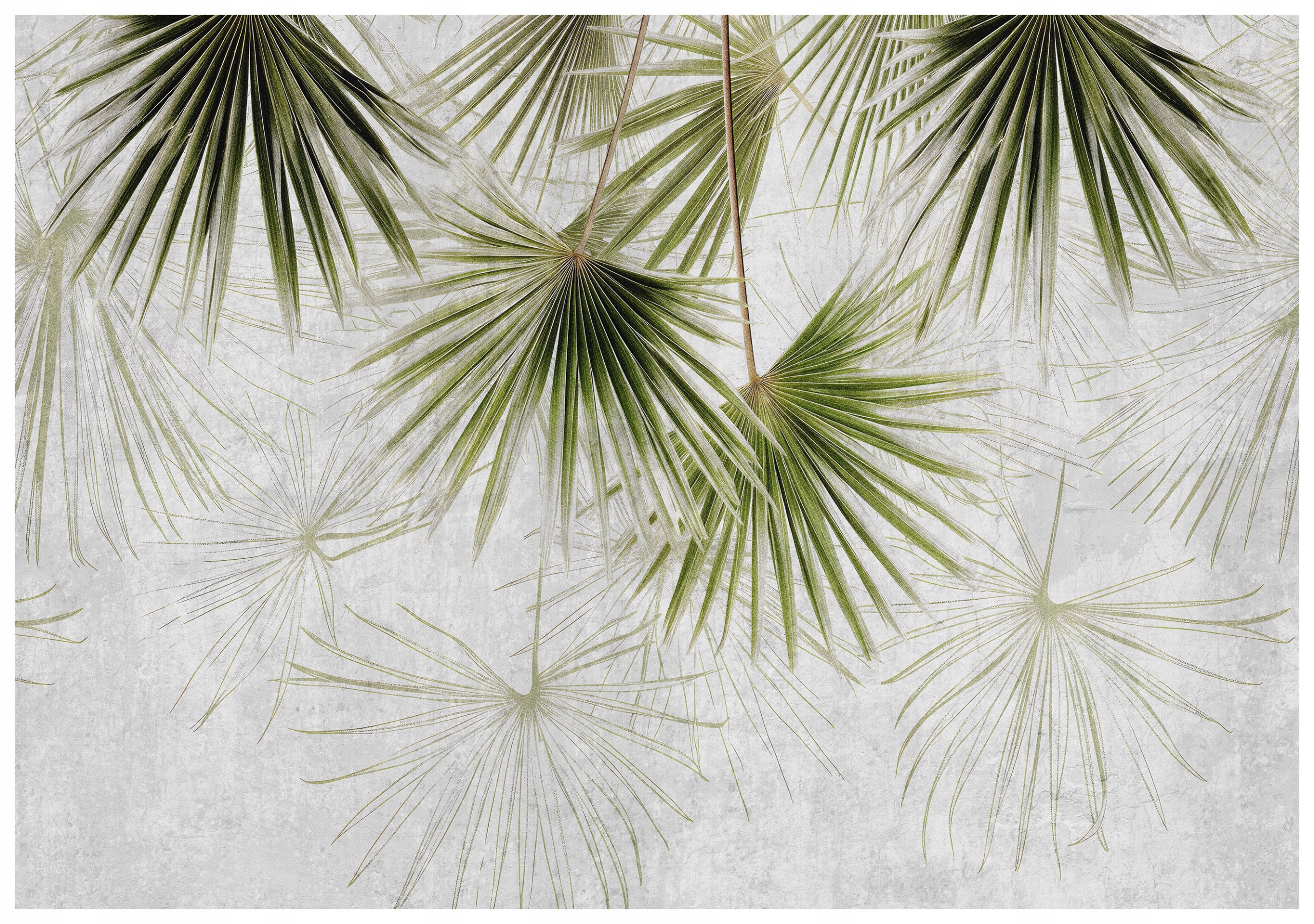 Vliesová fototapeta Palmy Listy Minimalismus Tropiky Oáza 300x210 lepidlo