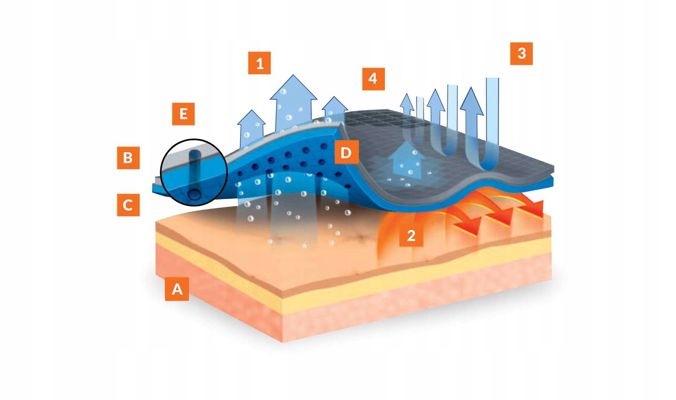Termoaktywna bielizna BRUBECK Active Wool Merino Materiał dominujący Poliamid