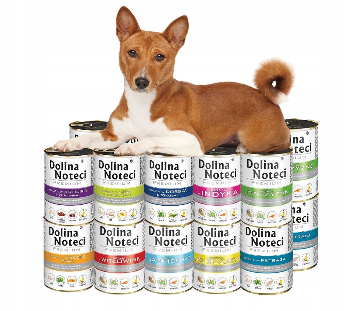 Levně Dolina Noteci Prémiové Vlhké krmivo mix chutí 20x400g