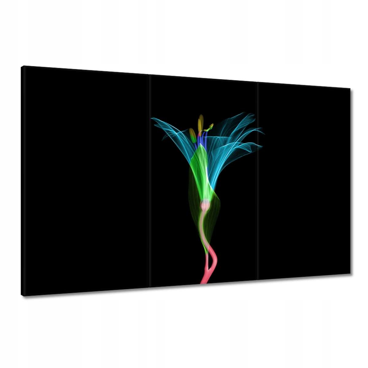 Obrazy 120x80 Květiny Květiny