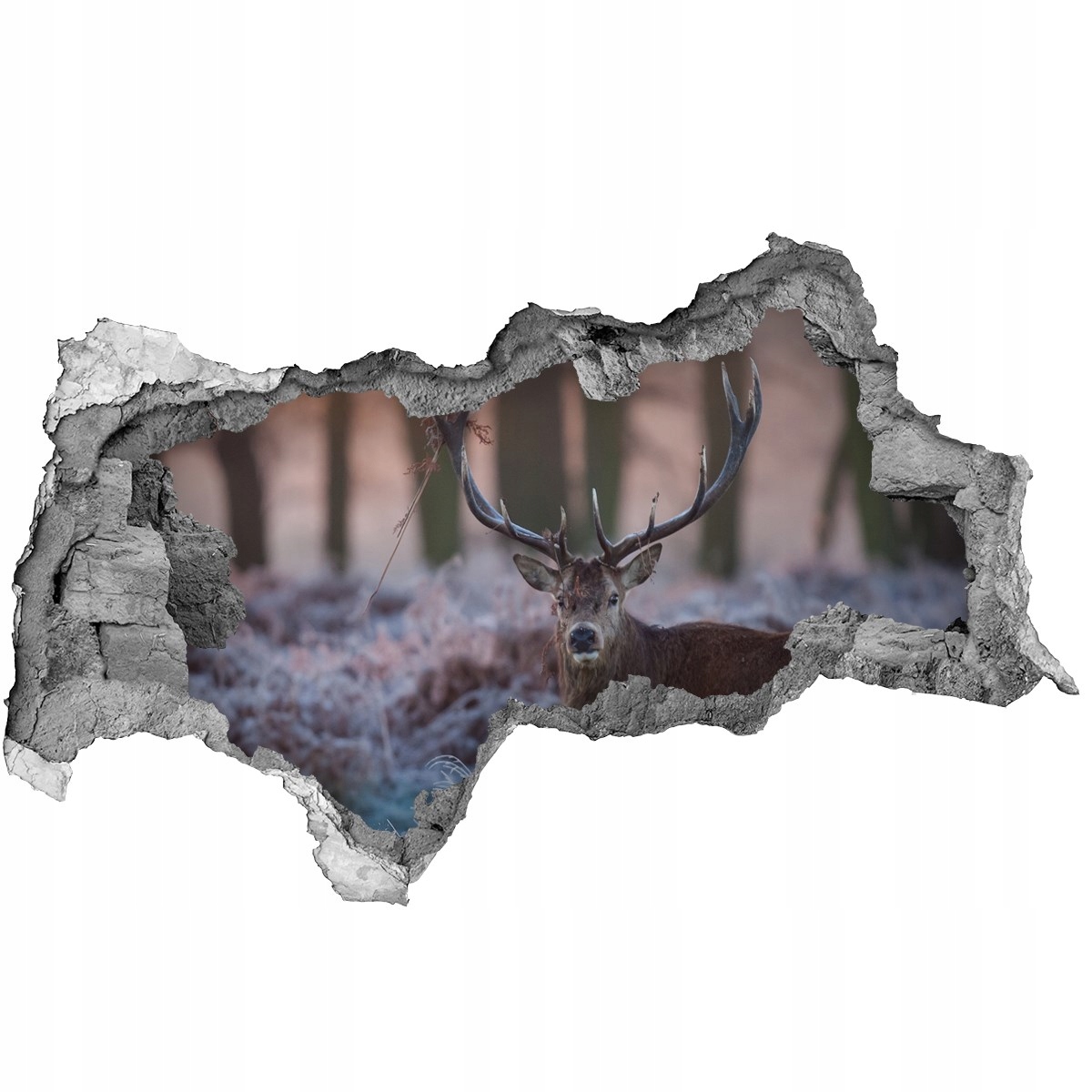 

Dziura 3d foto tapeta Naklejka Jeleń o wschodzie