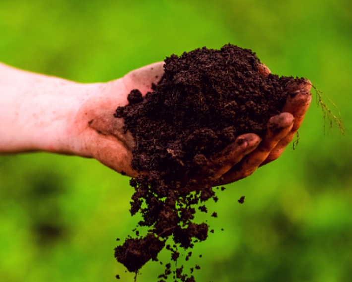 BROS. - BIOPON PREP. PRZYSP. KOMPOSTOWANIE 1KG Producent Biopon