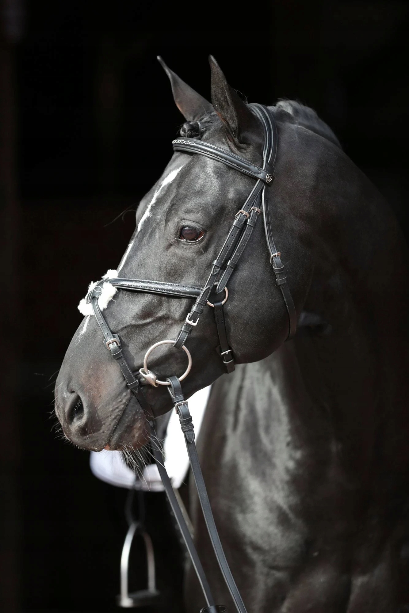 Ogłowie dla konia Cancun, czarny, roz. Cob, Covalliero Marka Covalliero