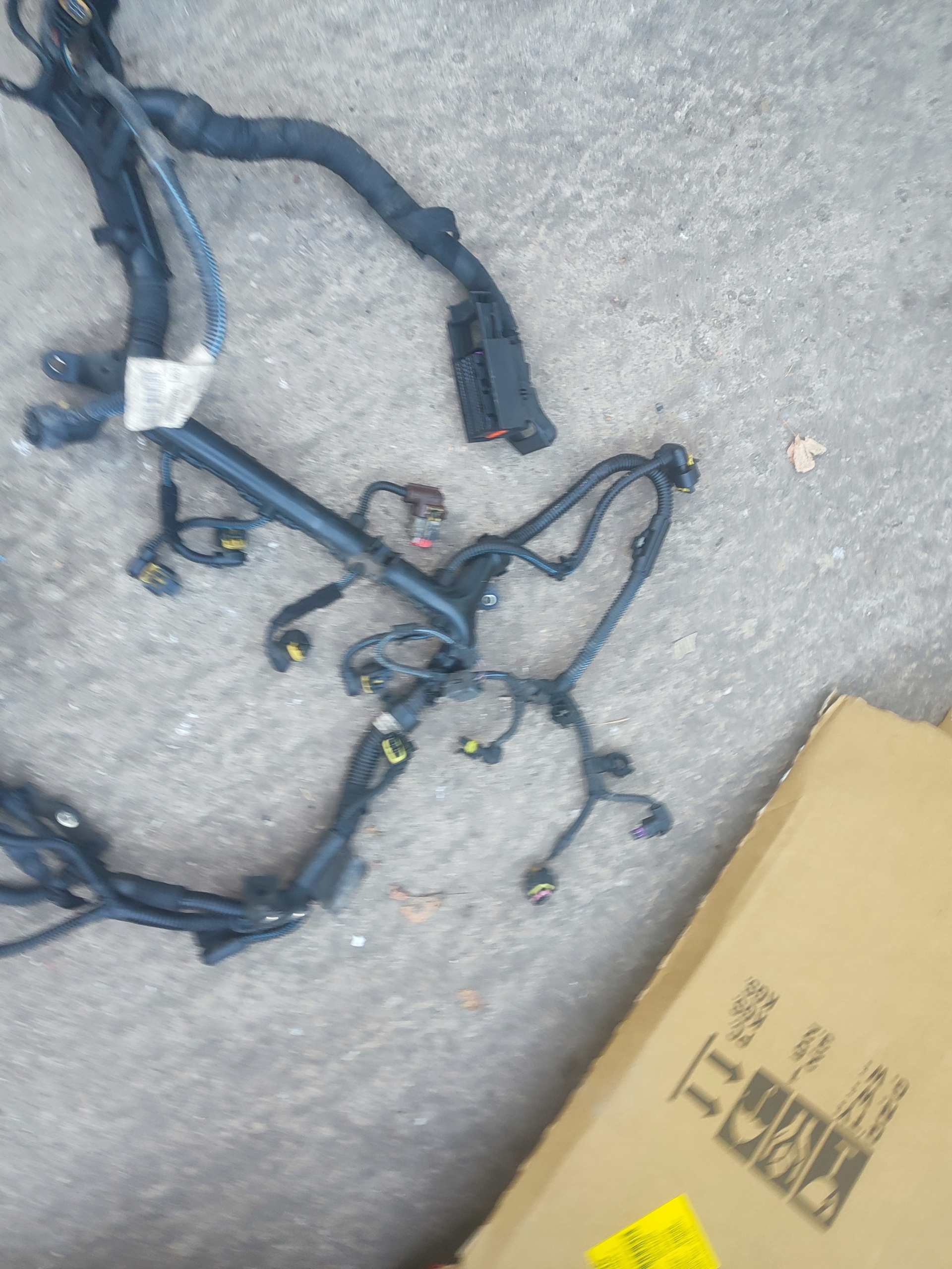 bundle of the engine Fiat Doblo 00552703220