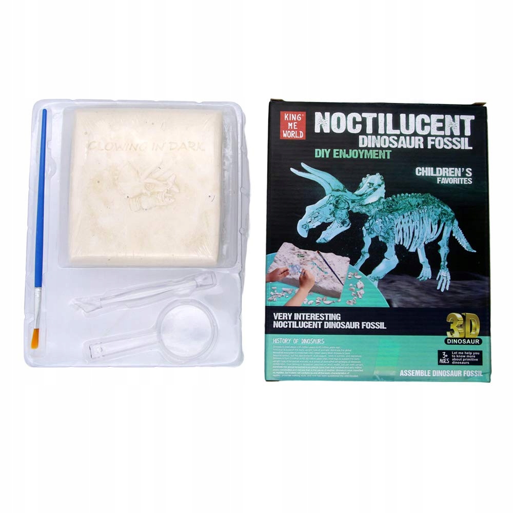 

Wykopaliska Dinozaur Szkielet Świeci Triceratops