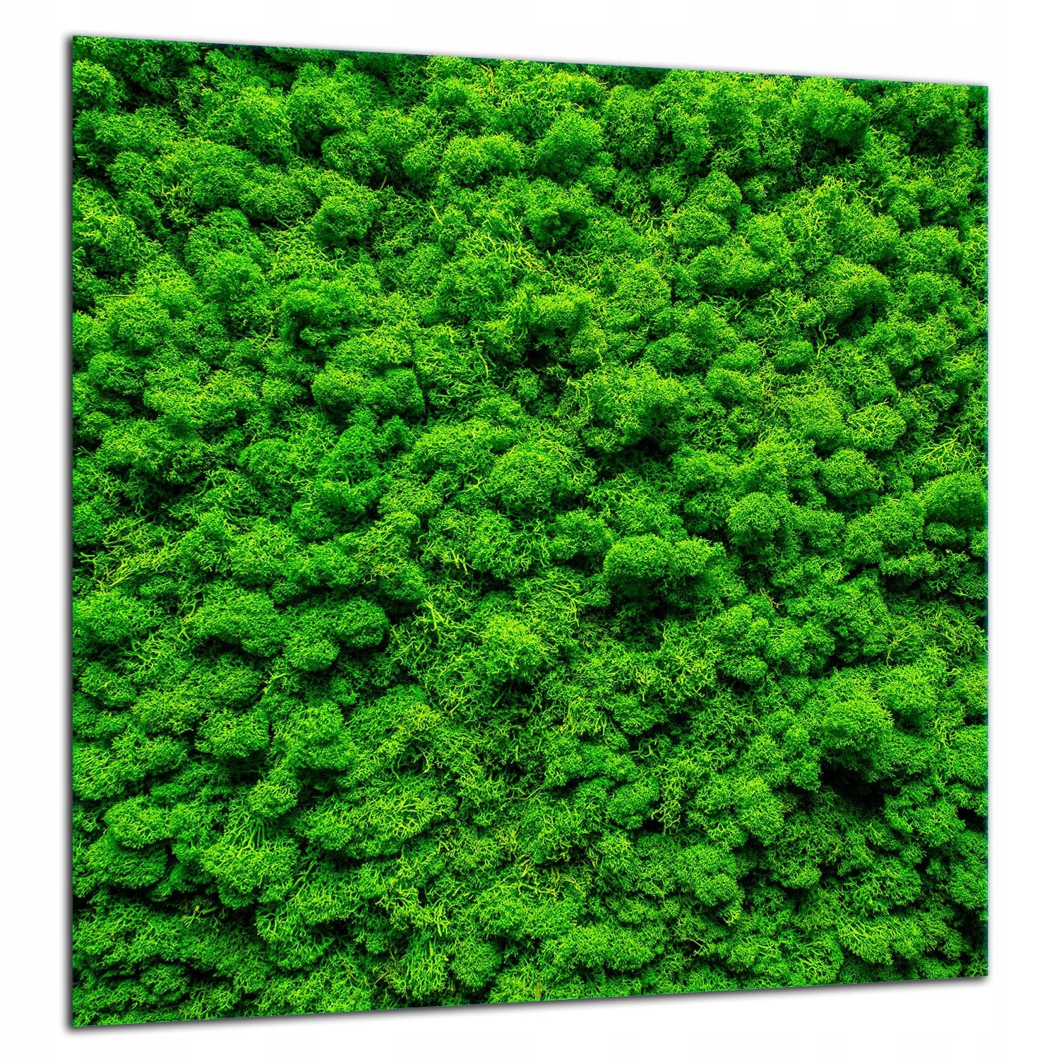 Skleněná Ochranná Deska Panel Lepidlo 60x65 Zelená