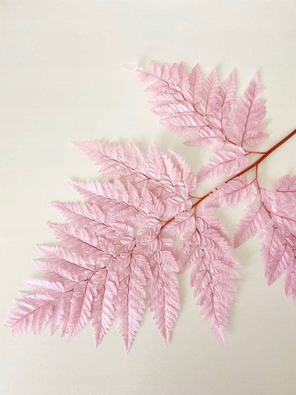 

Paproć stabilizowana Leather lila róż MiłaOdmiana