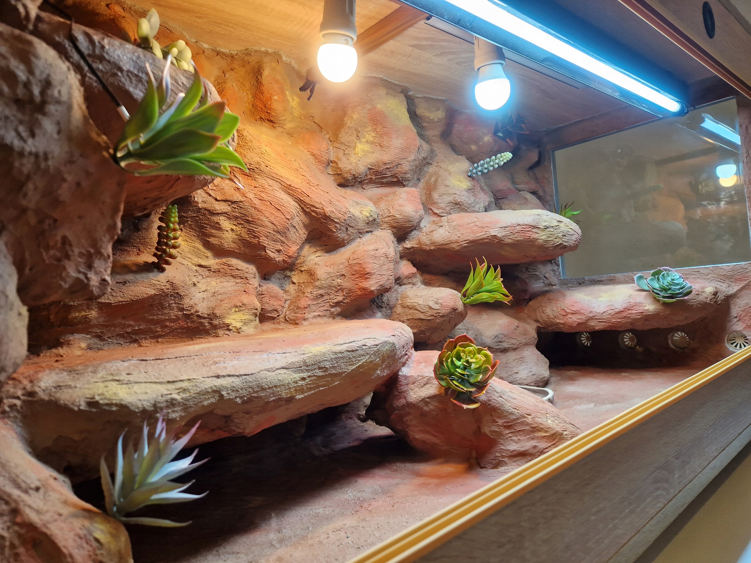 Pouštní Terárium 100x50x50 Objednávka Agama Karlovatá Gekon Vybavení