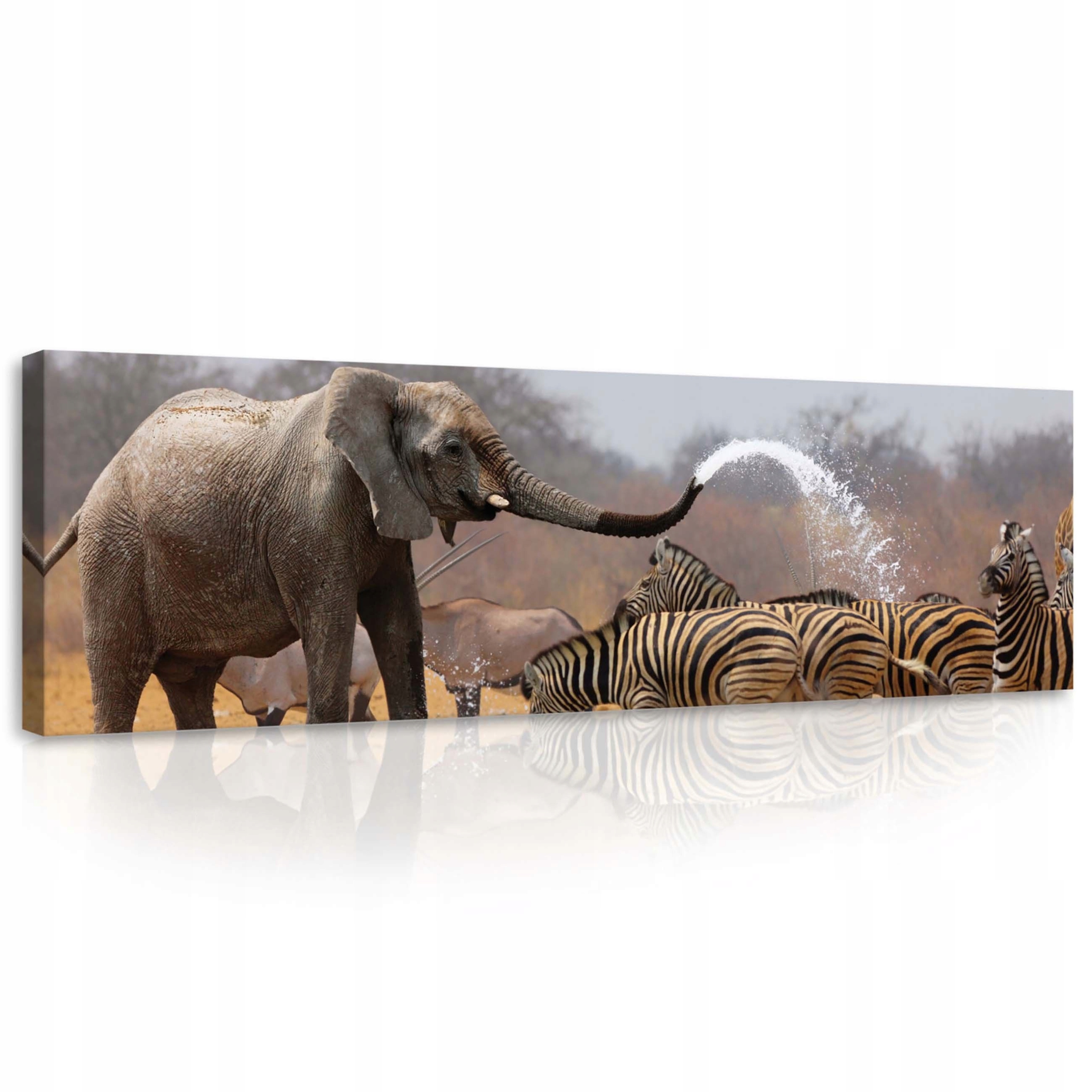 Obraz 145x45 Africká symfonie Slon a zebra v rytmu přírody