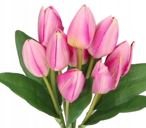 

Tulipany Bukiet Tulipanów Tulipan 45CM 9GAŁ
