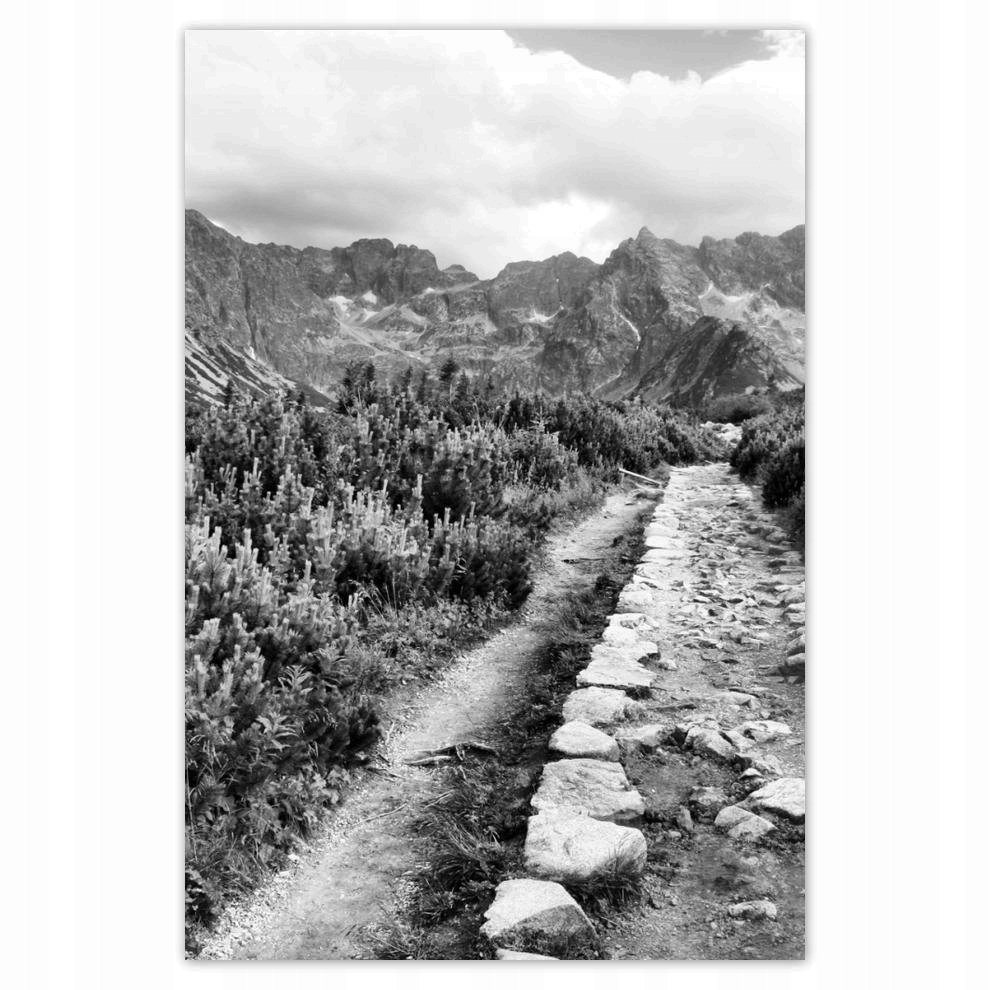 

Plakaty 40x60 Tatry Polskie góry Widok
