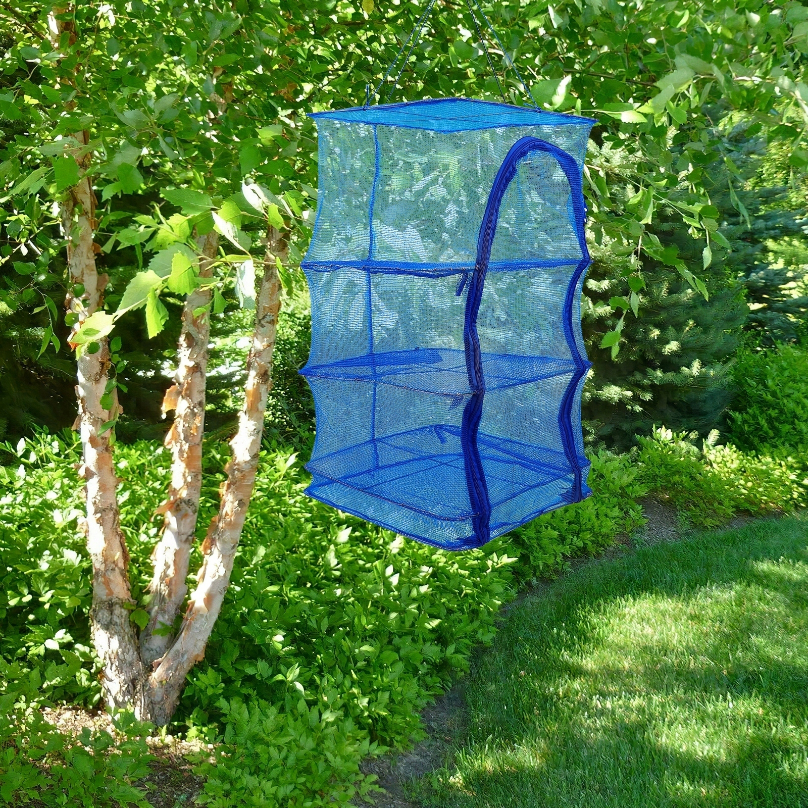 SUSZARKA SIATKA DO SUSZENIA RYB, GRZYBÓW, OWOCÓW Szerokość produktu 35 cm