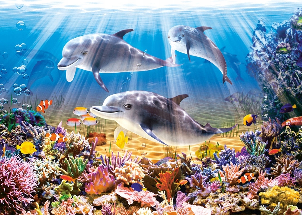 

Puzzle Castorland 500 szt. Dolphins Underwater