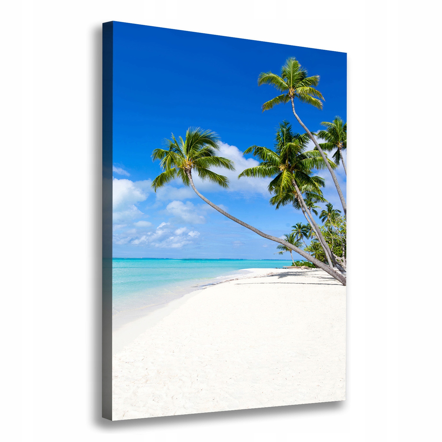 

Foto obraz na płótnie Tropikalna plaża 70x100 cm