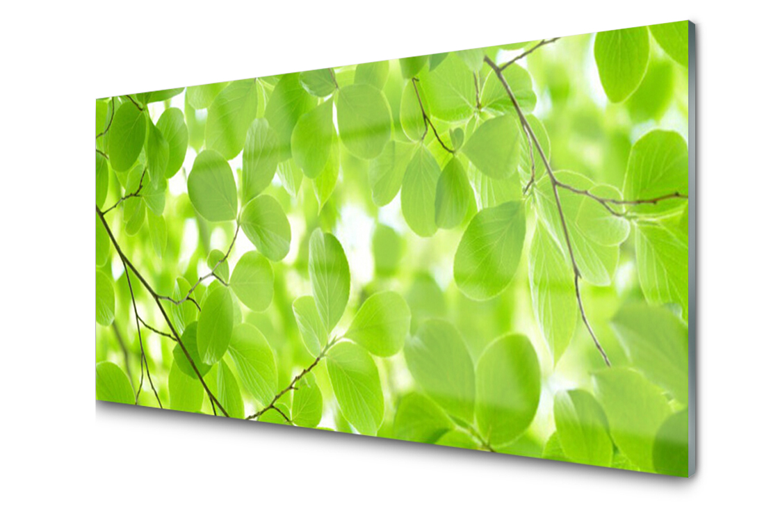 

Panel szklany dekoracyjny Dekor Liście 100x50