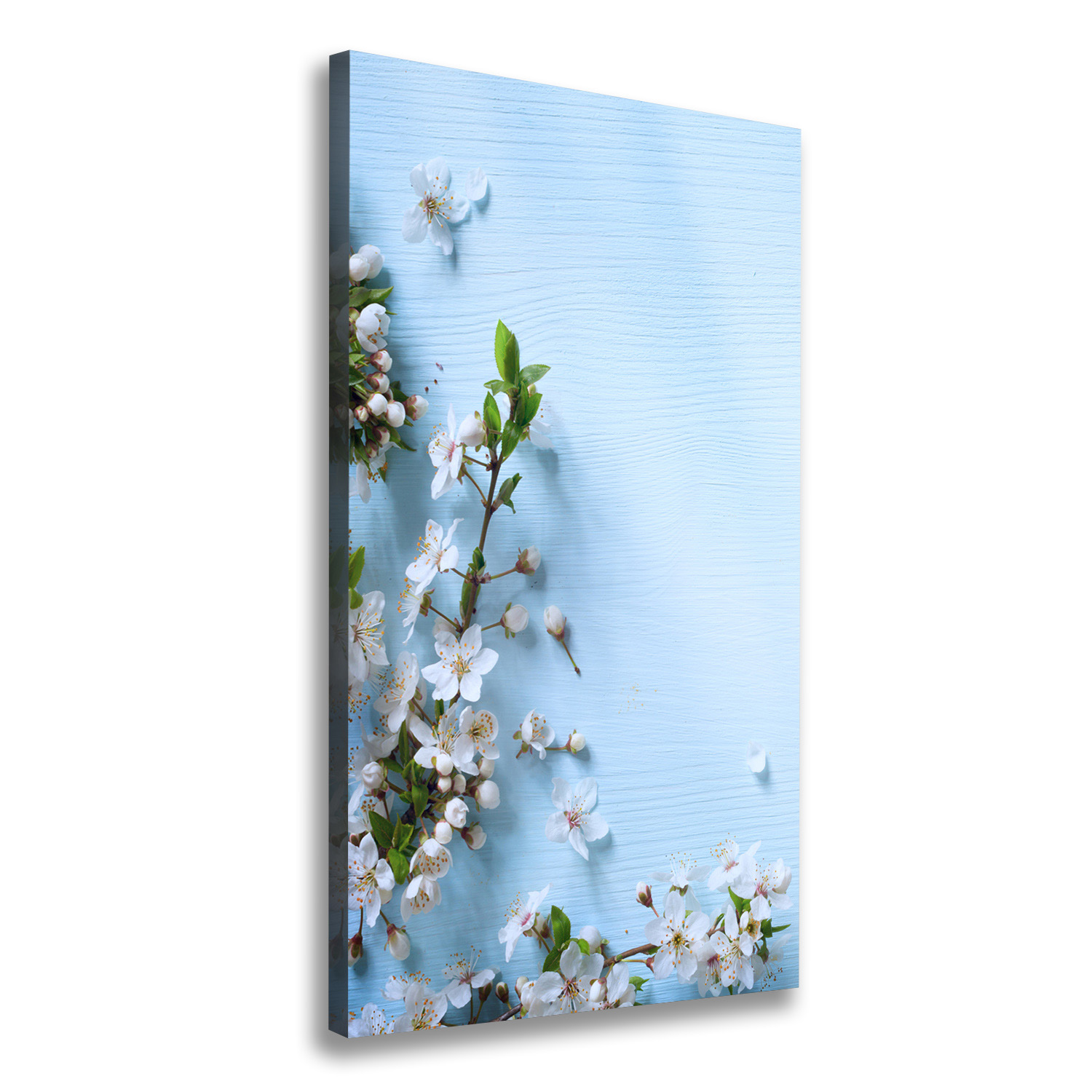

Foto obraz canvas do salonu Kwiaty wiśni 50x100