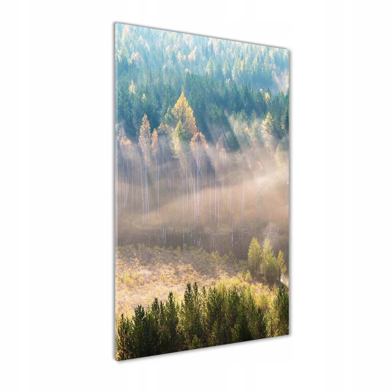 

Foto obraz akryl do salonu Mgła nad lasem 60x120cm