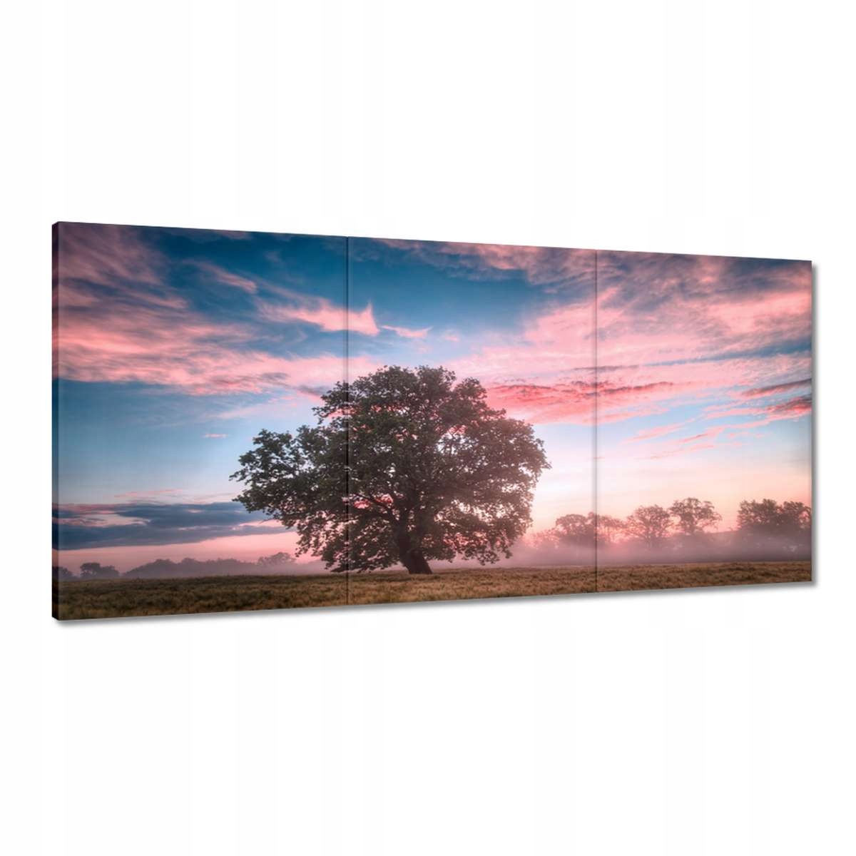 Obrazy 180x90 Cukrová krajina Hmla