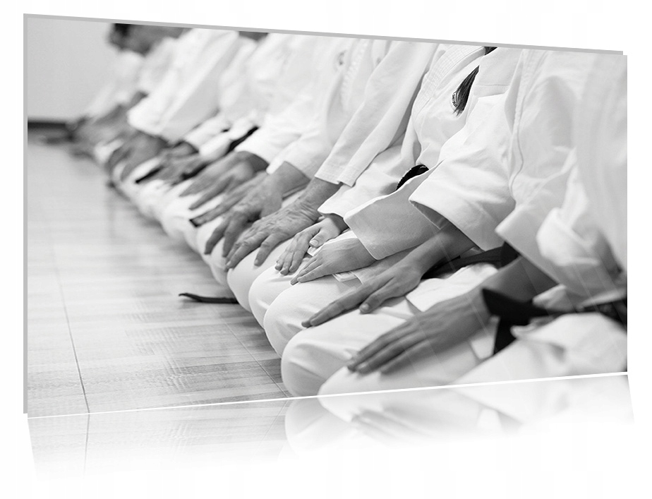 

Obraz szklany na szkle Karate 01 30x20