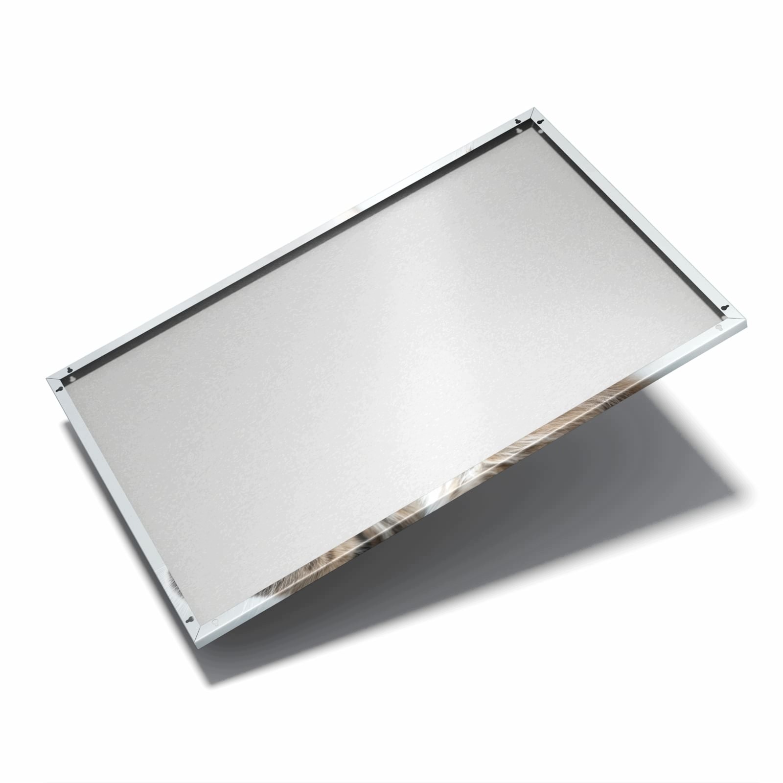 Magnetická tabule Pregowane Koťátko 60 × 40 cm