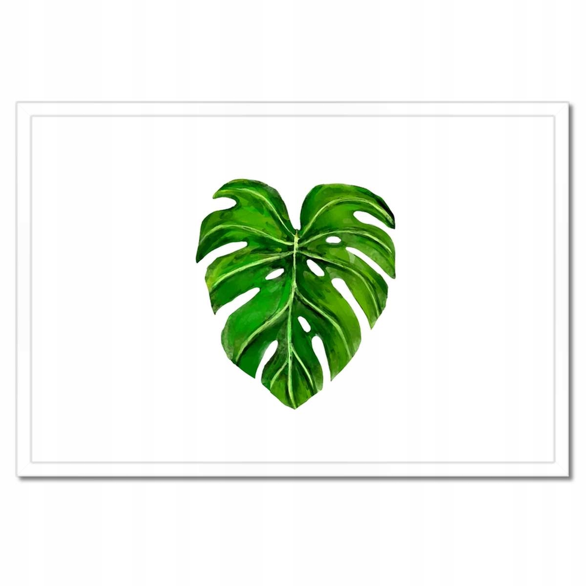 Plakáty v rámu 60x40 List monsery děravé