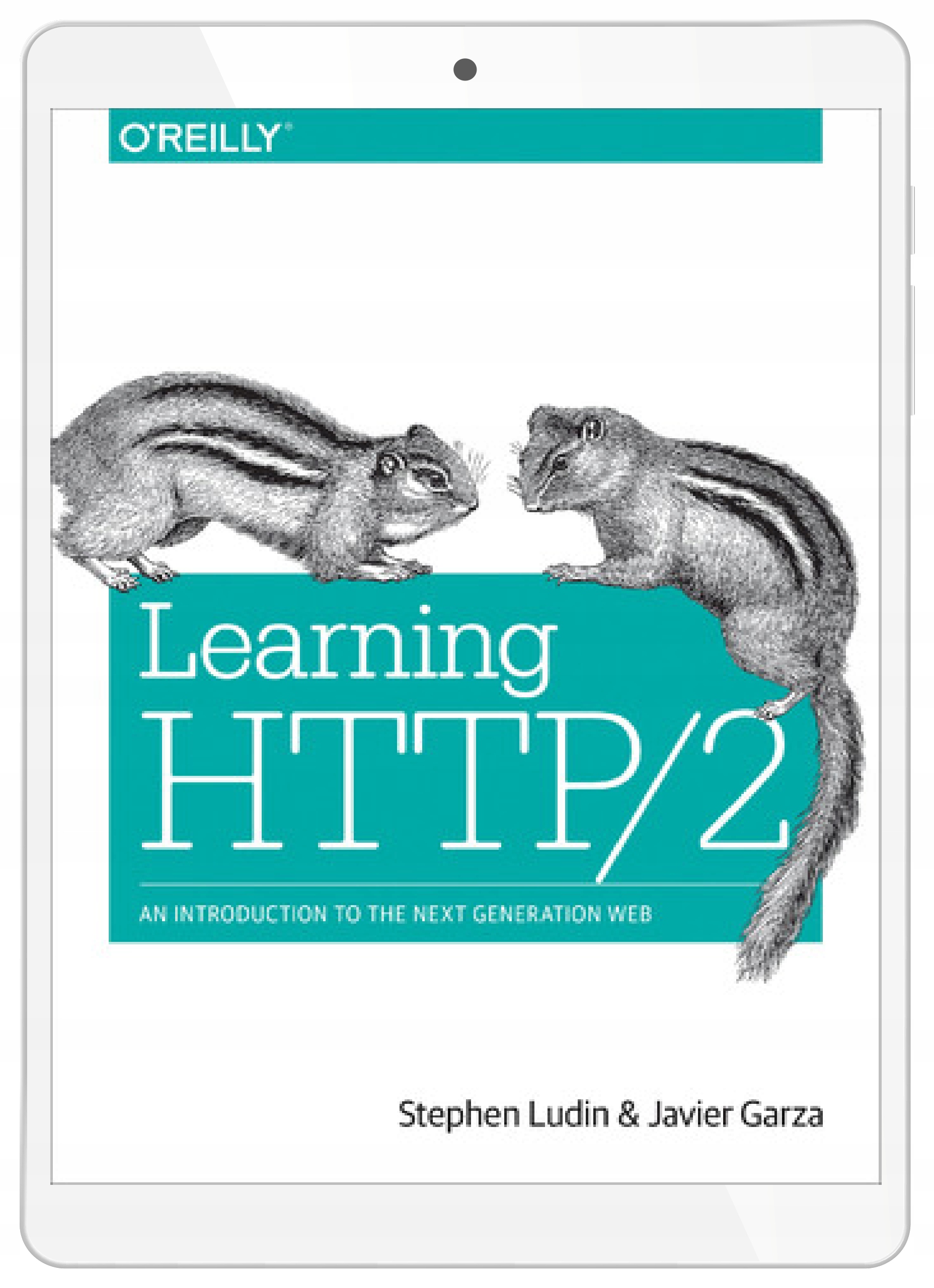 Learning HTTP/2. A Practical Guide for Beginners