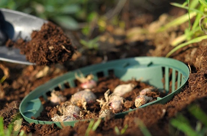 Koszyk na cebulki ONION 26,5 cm — 13