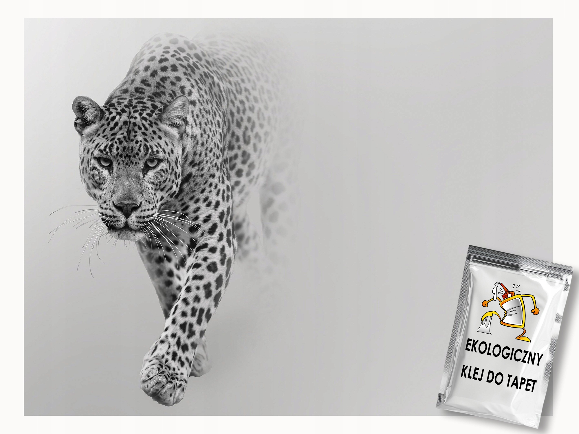 Fototapeta Flizelina Zvířata Fauna Leopard Kočka Šedá Mlha 300x210 lepidlo