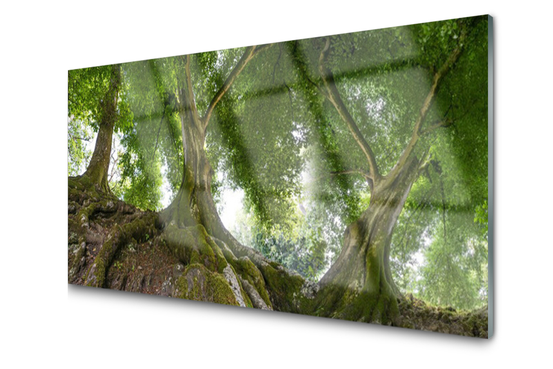 

Panel szklany Płytka Drzewa Roślina 100x50