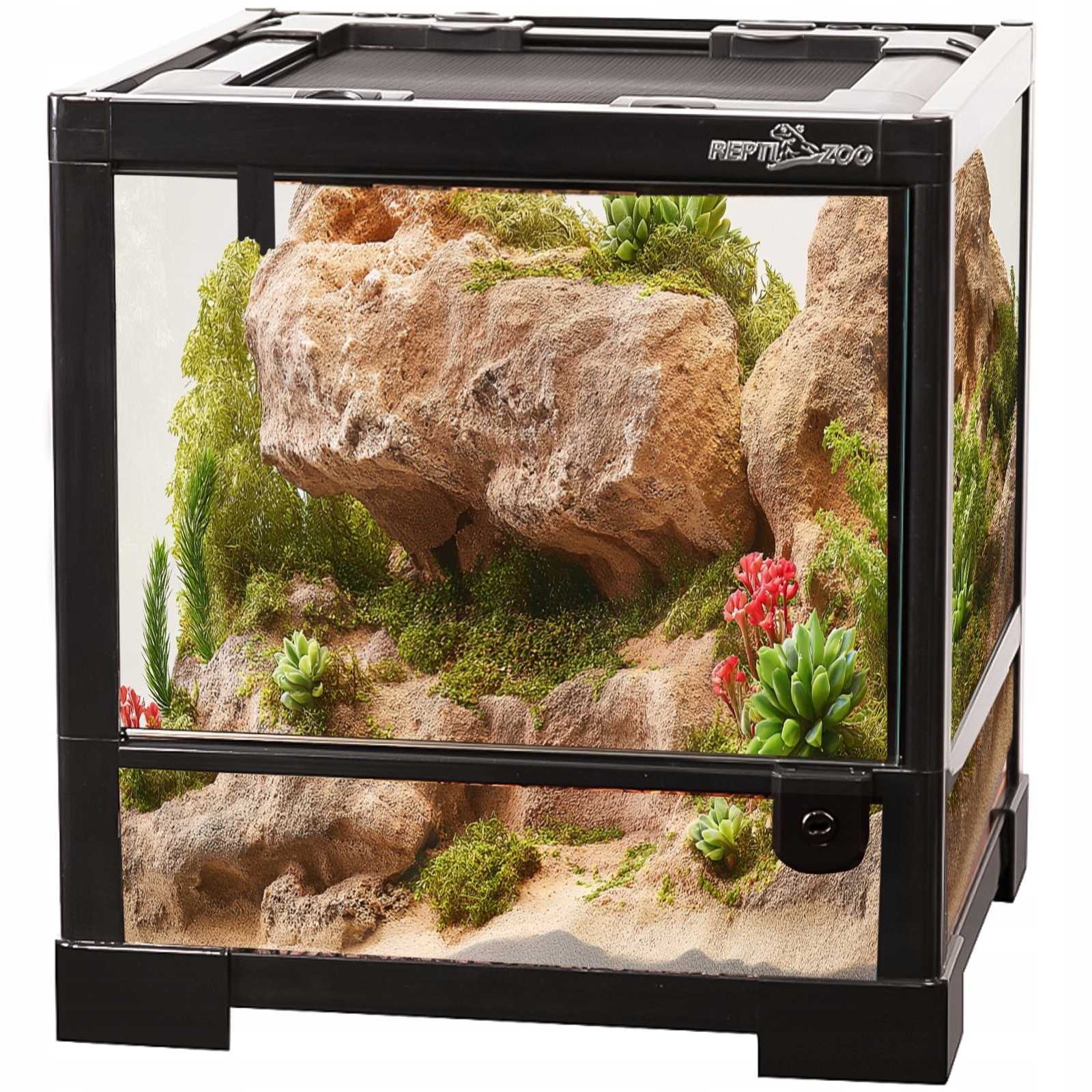 Szklane Terrarium Dla Gekona Ptasznika Modliszki Terrarium Kostka Z Siatką