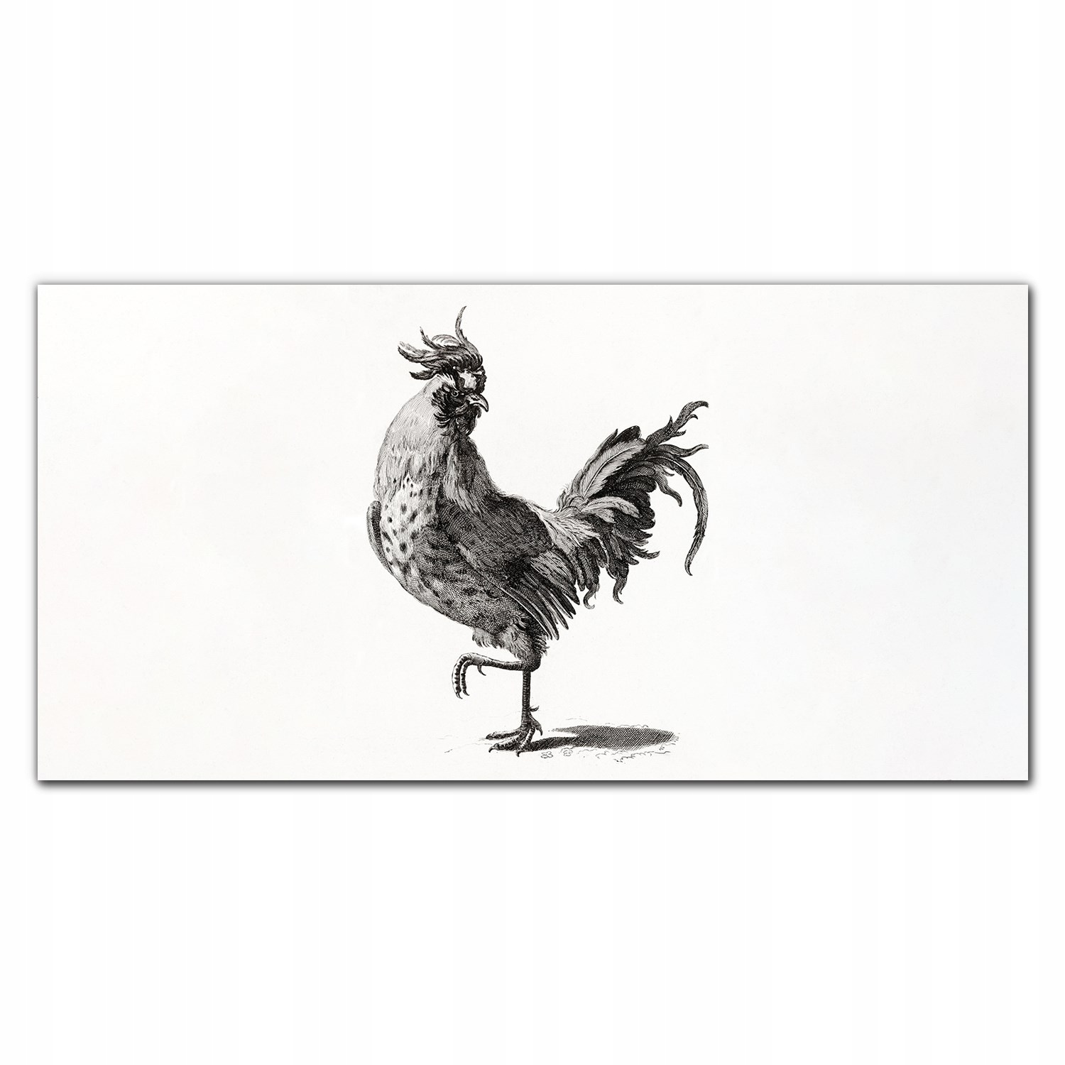 Obraz na plátne Zviera, vták, kuracie mäso 140 x 70 cm