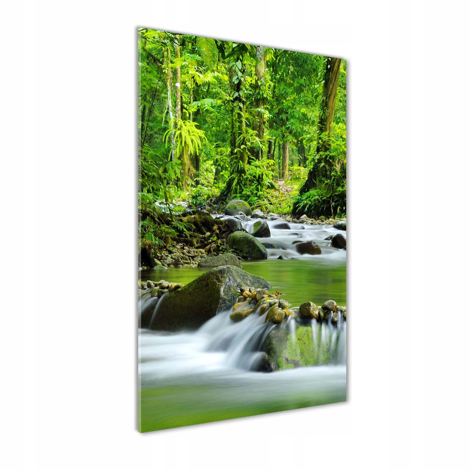 

Foto obraz szkło hartowane Potok górski 60x120 cm