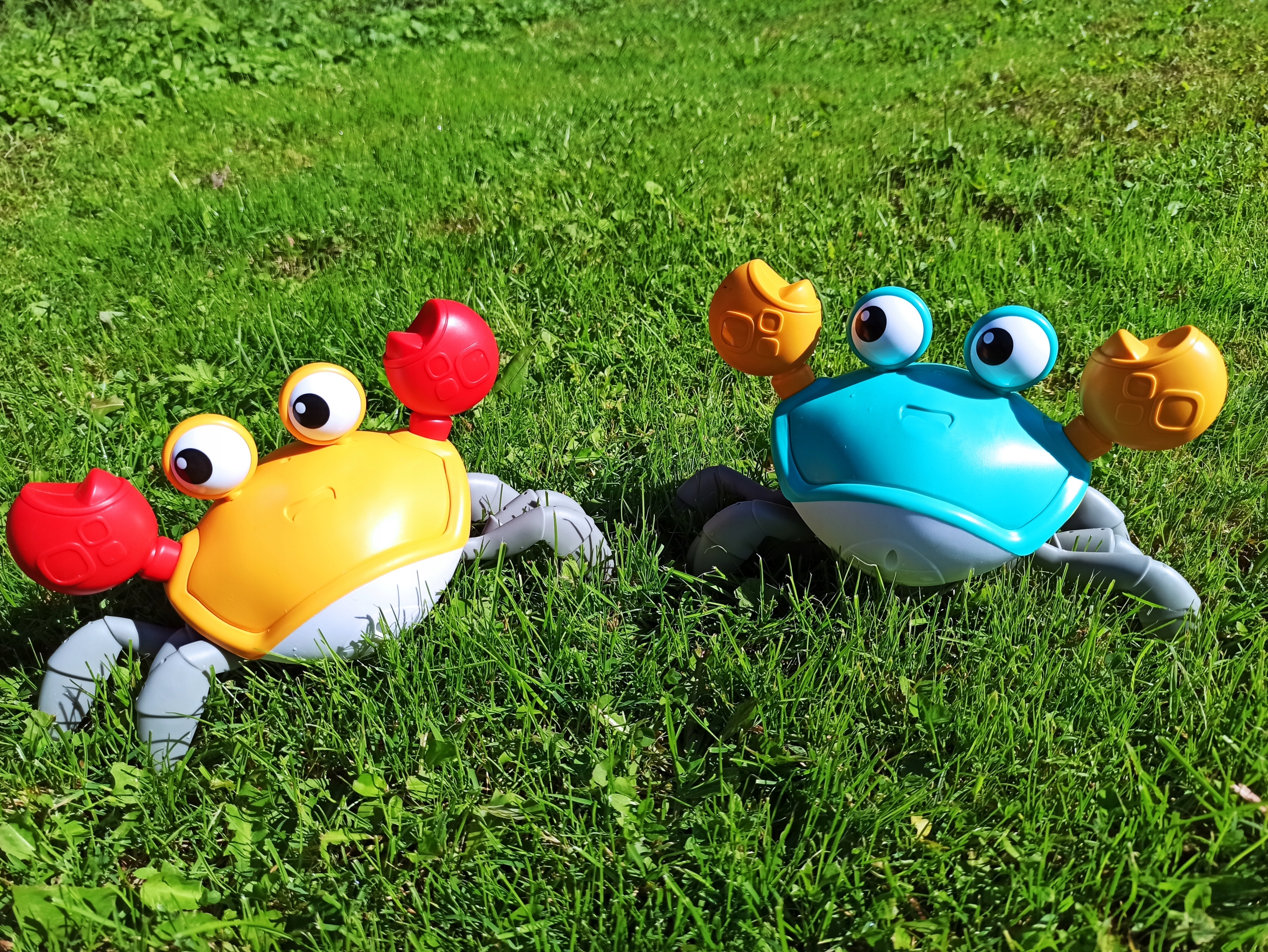 Uciekający krab niebieski Materiał plastik