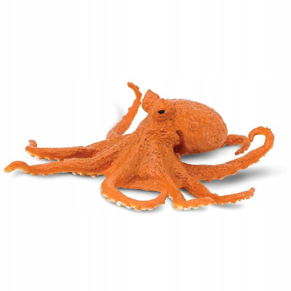 

Ośmiornica Octopus Safari Ltd. 274429