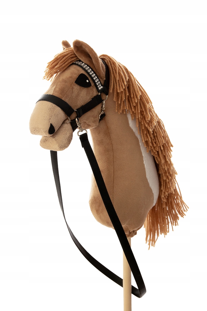 Hobby horse Overo A4