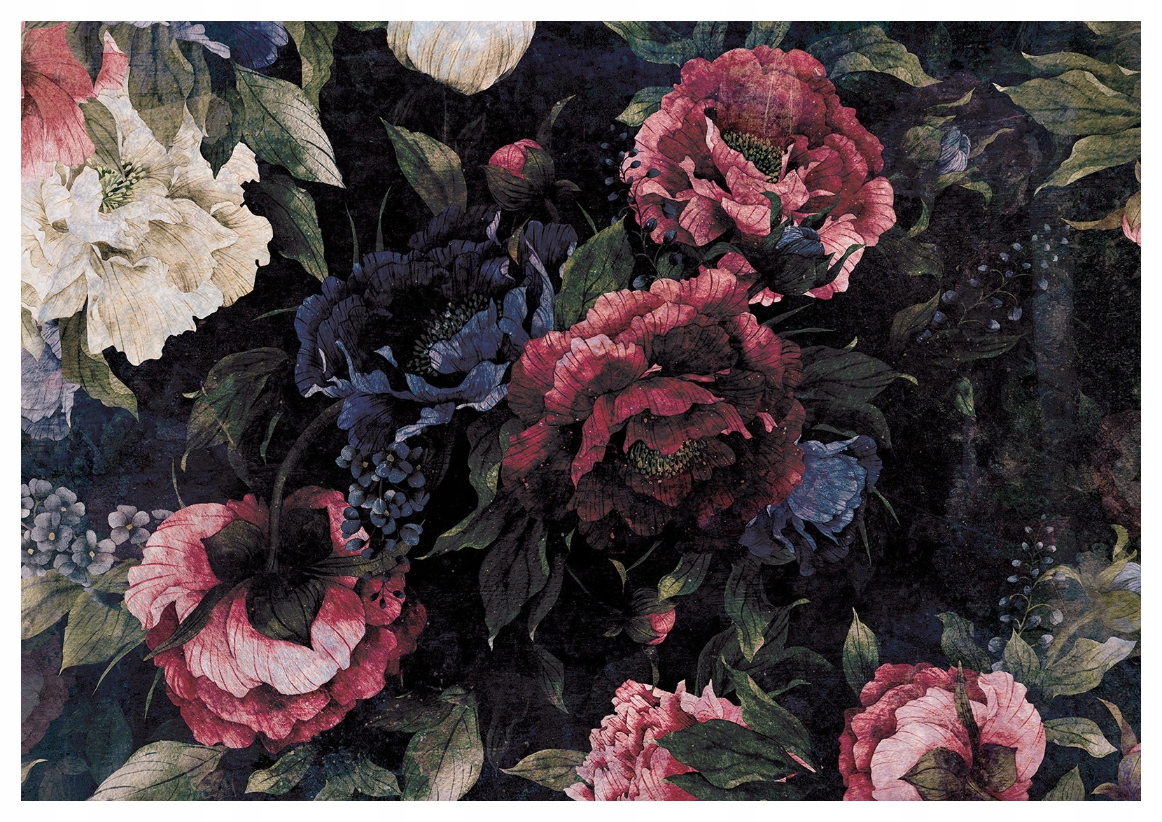 Fototapeta Pivonky na tmavom pozadí vinylová Elegantné kvety 520x318 lepidlo