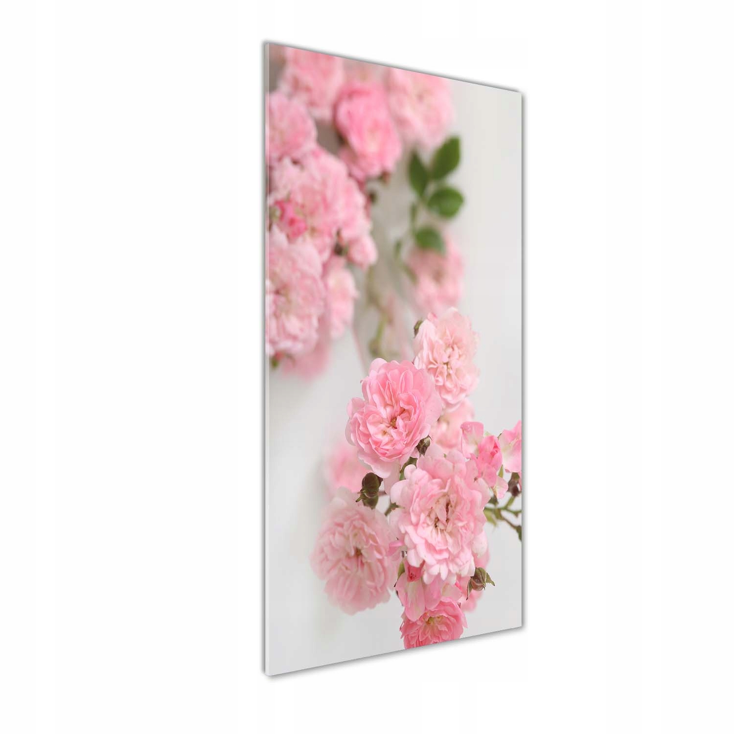 

Foto obraz akrylowy na ścianę Dzika róża 50x125cm