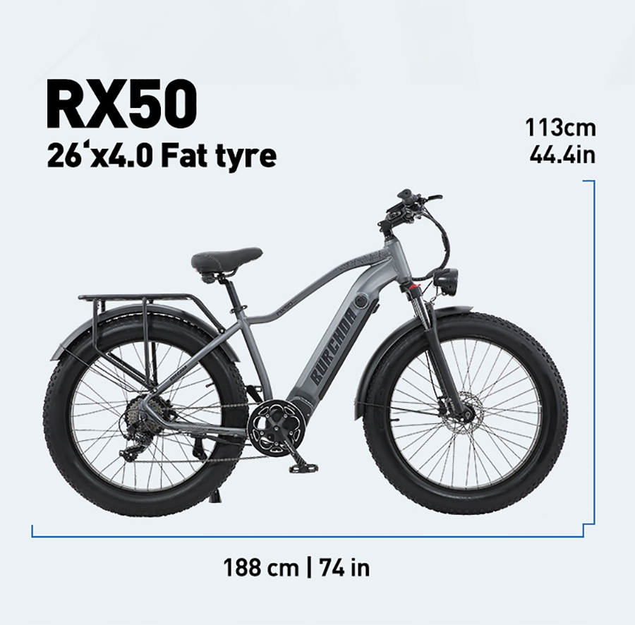 Electric Bicycle 1000W 18AH 45KM/H Large frame Brakes other