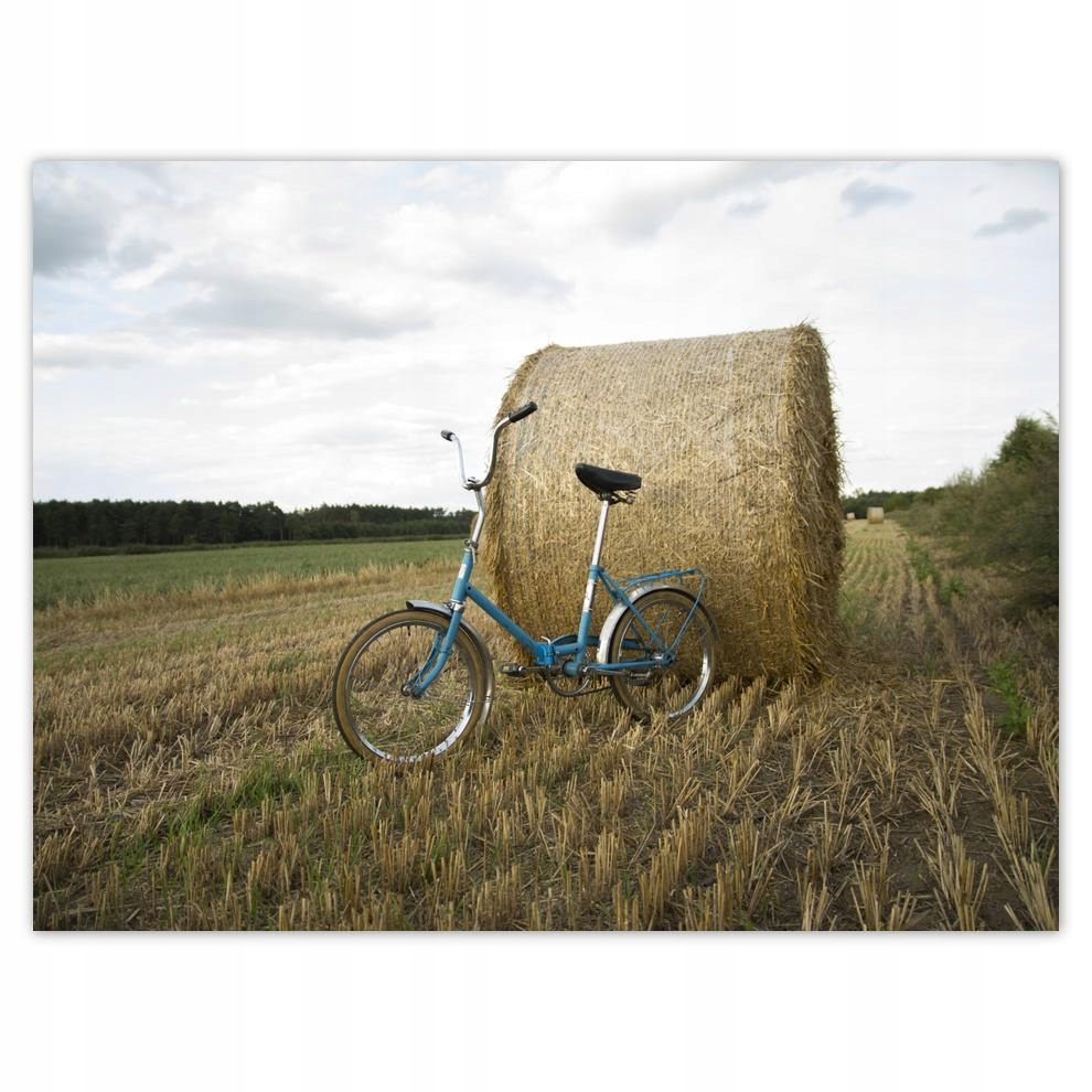 

Plakat 40x30 Wigry 3 Prl Rower Romet