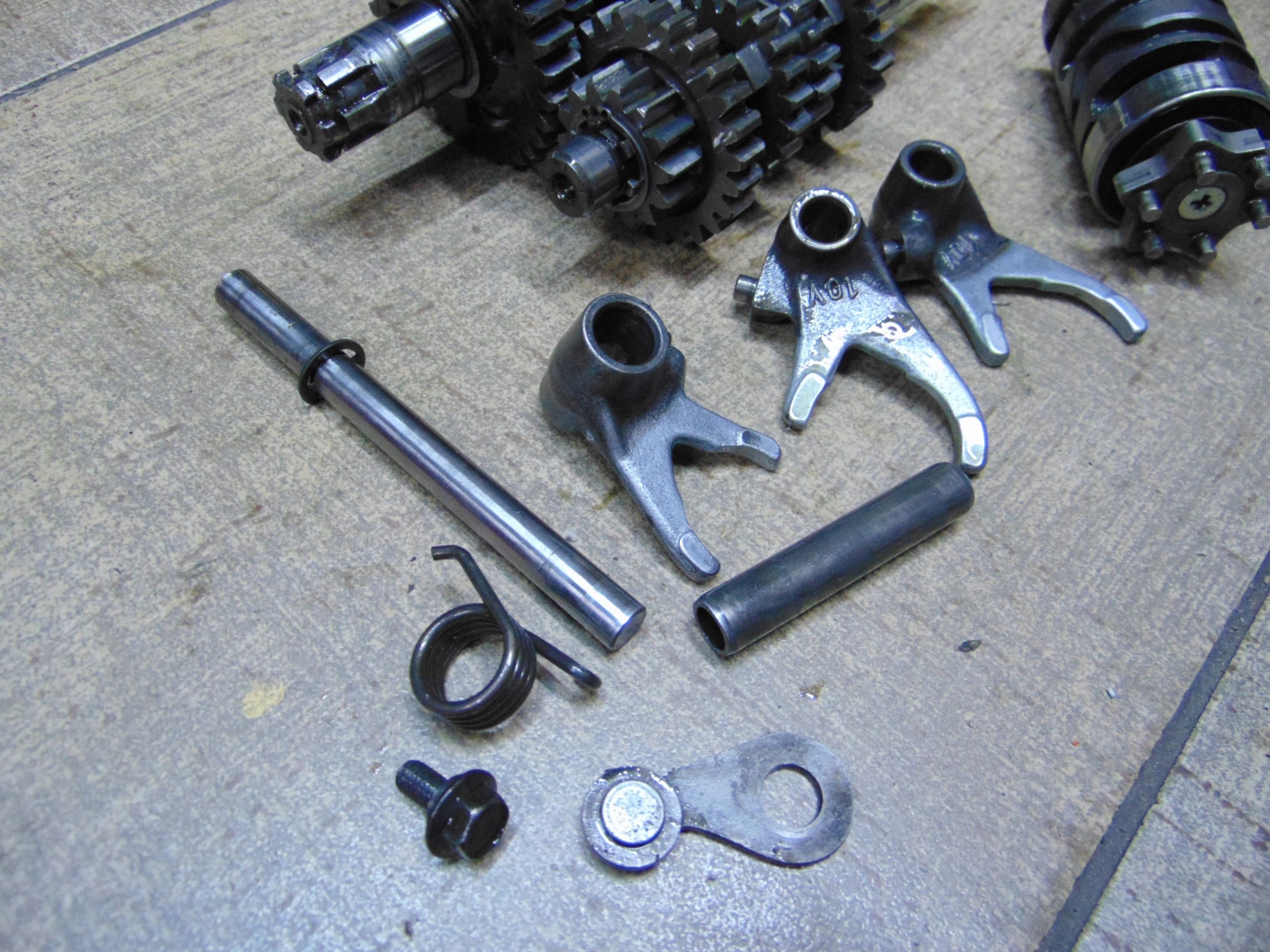 14af2f57492683621929e9eeaf21