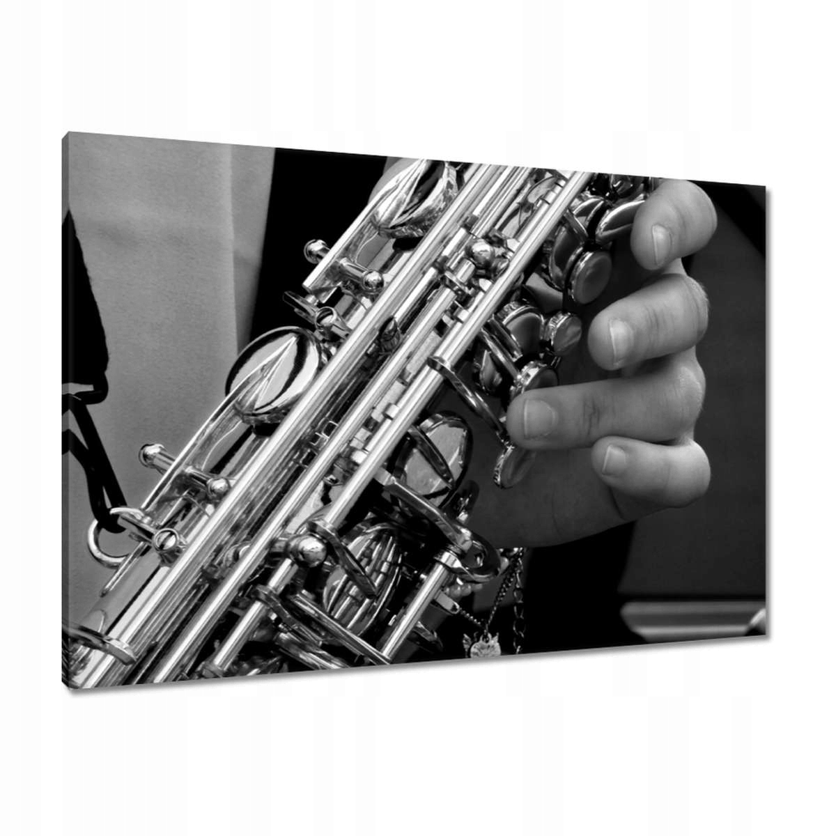 Obrazy 100x70 Jazzman