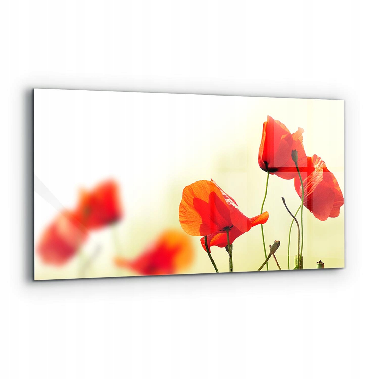 Panel lepidlo Poľná lúka s červenými makami 120x60