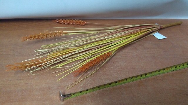 gałązka 6szt KŁOS ŻYTA — 4