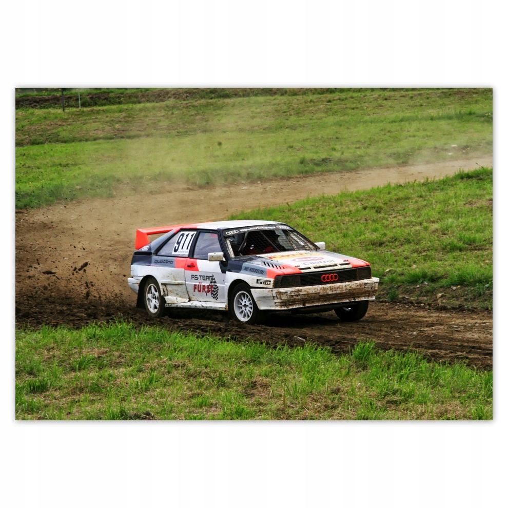 

Fototapety flizelina 416x290 Audi Quattro Teren