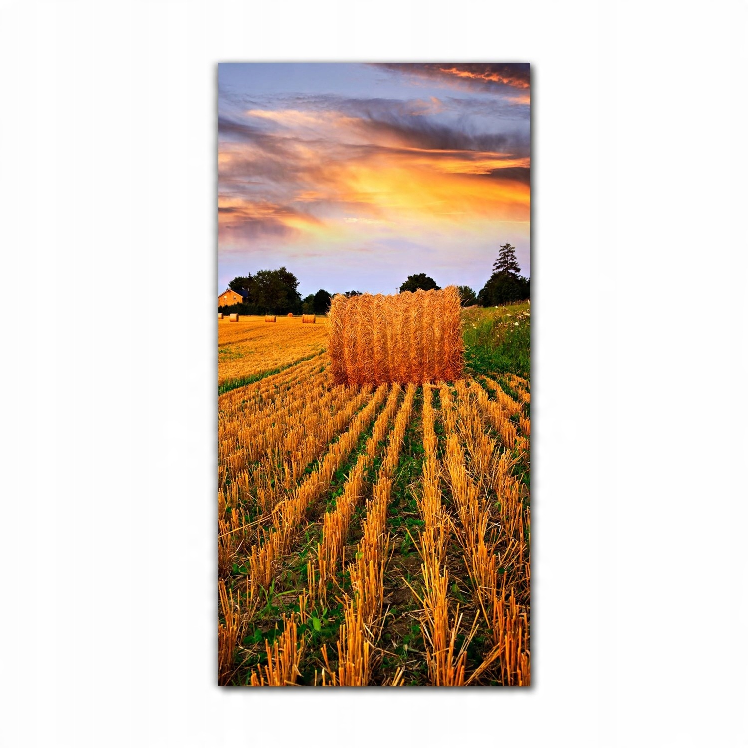 

Foto na szkle na ścianę 70x140 Zachód słońca niebo