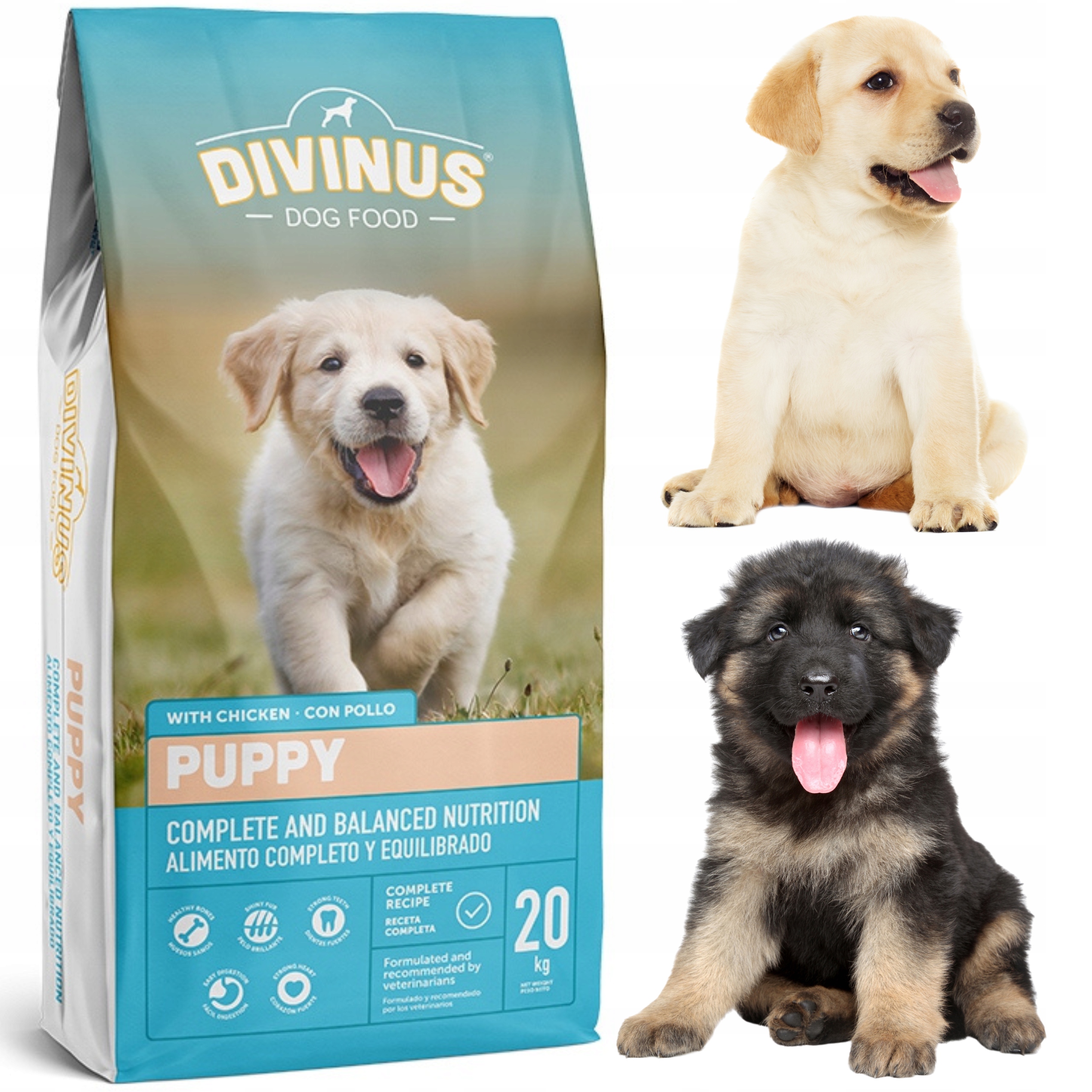 Karma dla Szczeniąt Owczarek Labrador Divinus 20kg