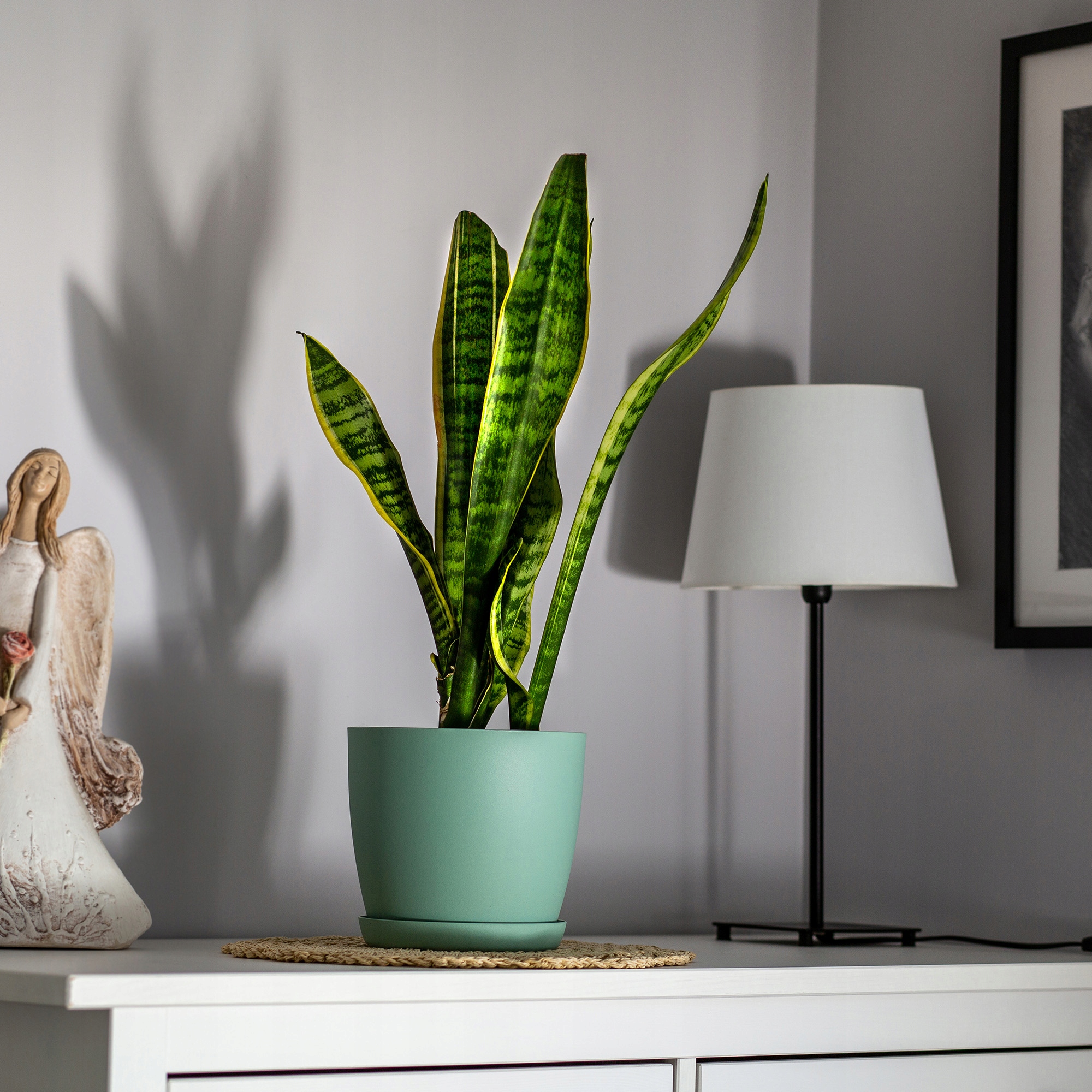 DONICZKA OSŁONKA DONICA 12cm NA KWIATY MATOWA ZIELONA PLASTIKOWA PODSTAWKA Marka Kadax