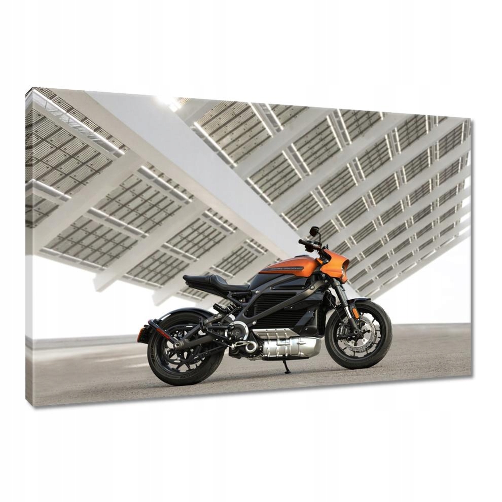 

Obrazy 90x60 Harley Davidson Motocykl