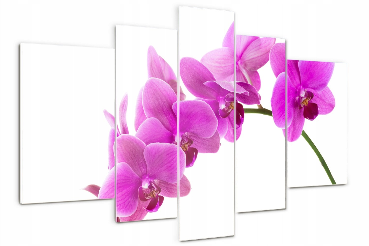 

Foto Obraz szklany duży tryptyk Różowa orchidea